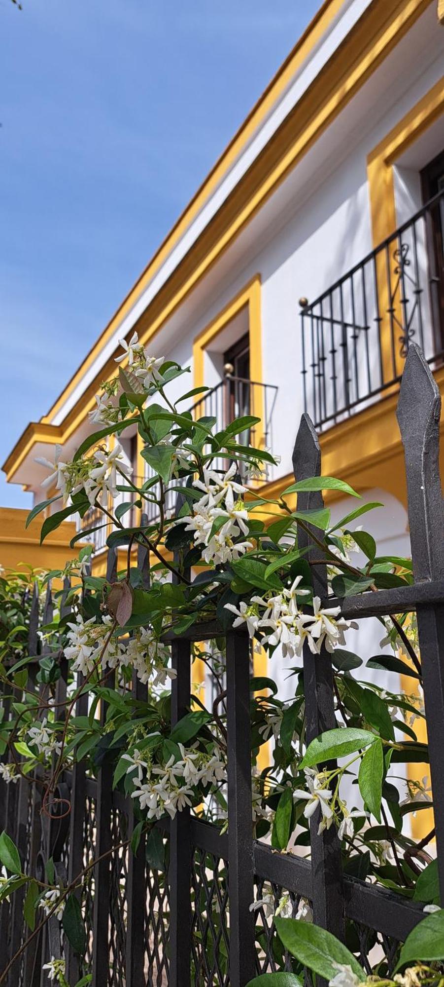 Villa Marcel Jerez de la Frontera Eksteriør bilde